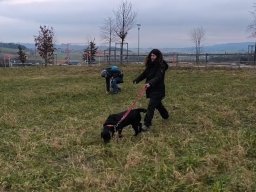 Krimiwanderung