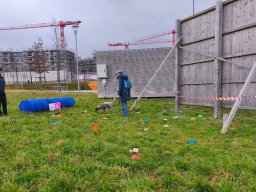 Tatort Inspektion